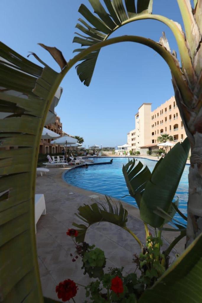 Agora in front of Marassi photo 1