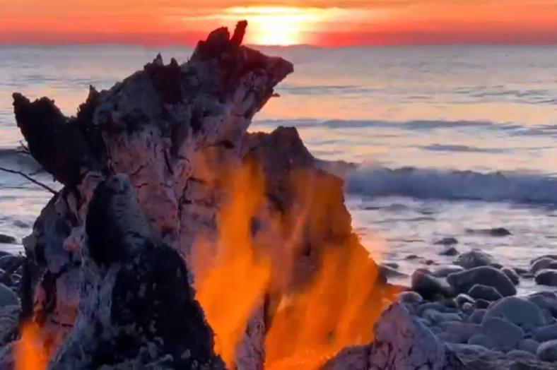 Ferienhaus "Heidis Reethaus in Dranske Goos photo 4
