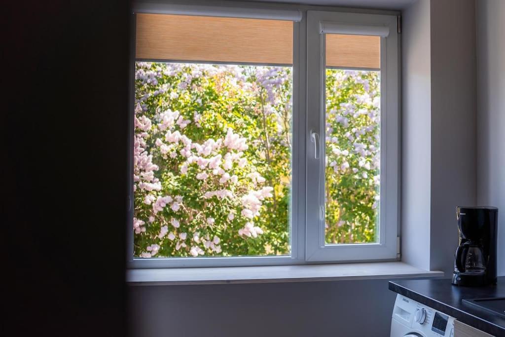 Cozy apartment in the city center of Kärdla photo 4