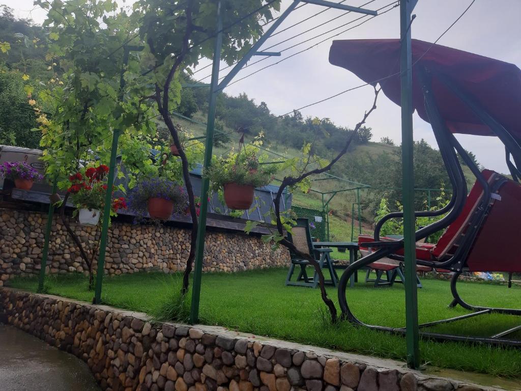 Vila Mir photo 1