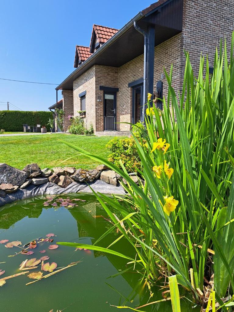Chez Baf - Wibrin - Houffalize photo 1