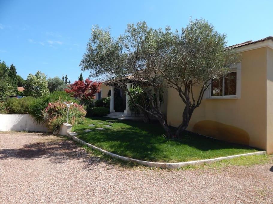 Villa avec piscine, salle de jeux photo 3