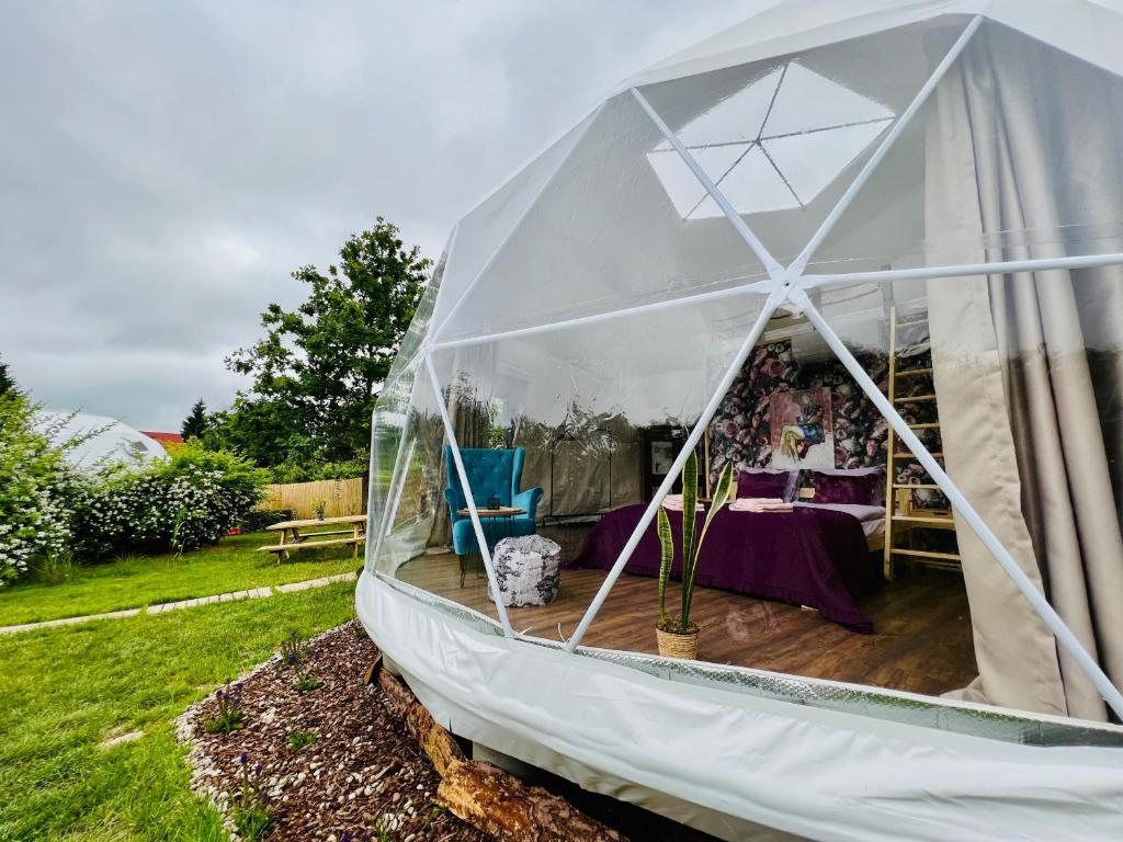 Glamping Stacja Zieleniec w Nałęczowie photo 4
