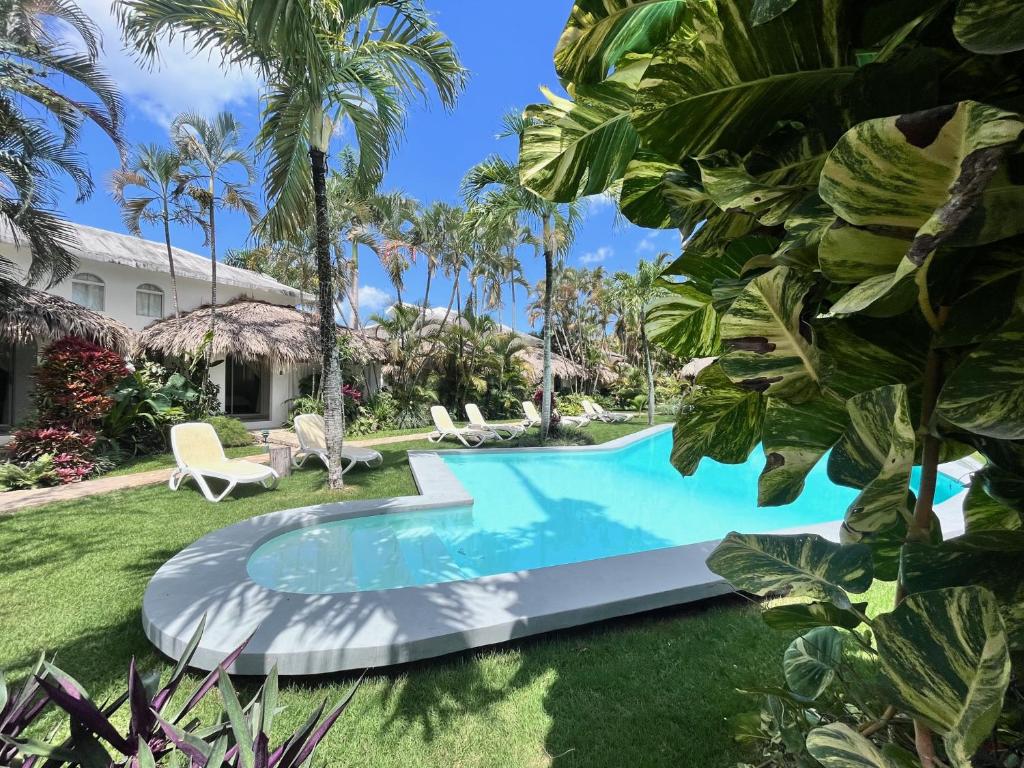 Hotel La Tortuga photo 4