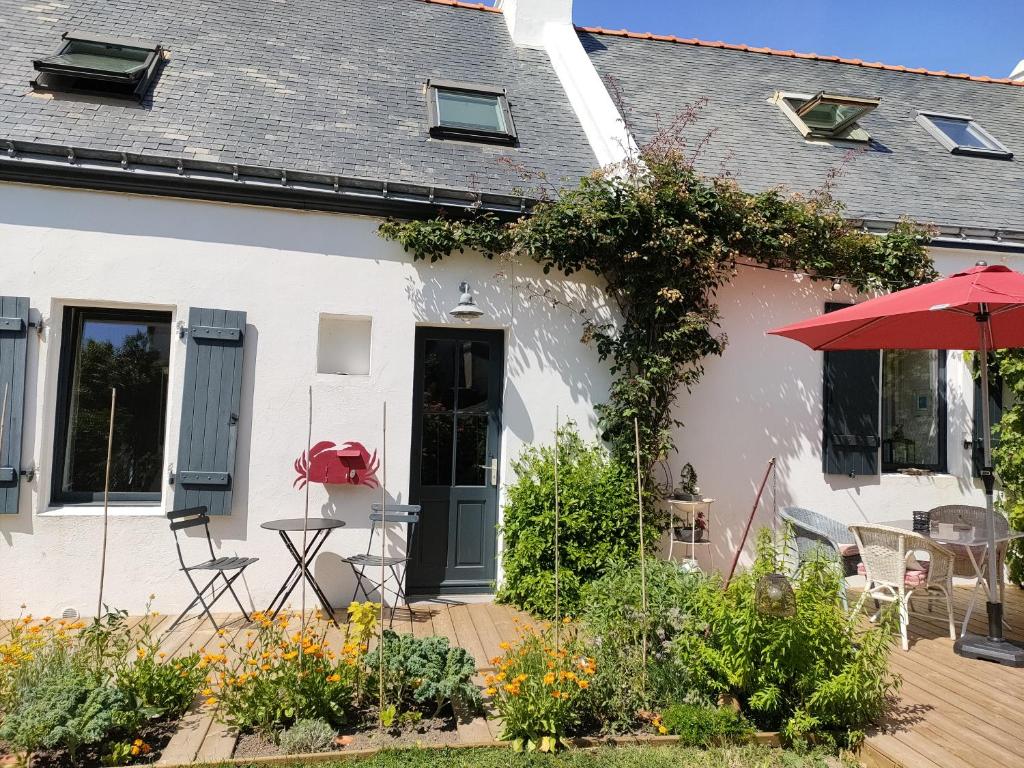 Le crabe rouge photo 1