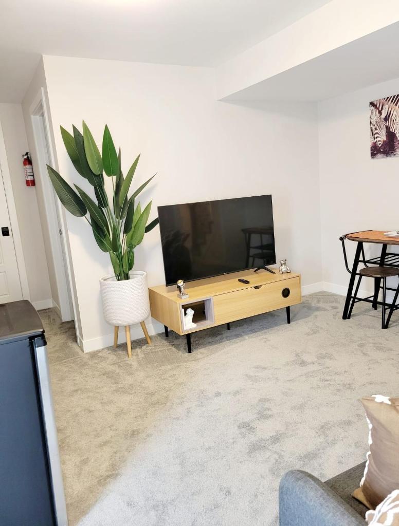 Clementina Place photo 4