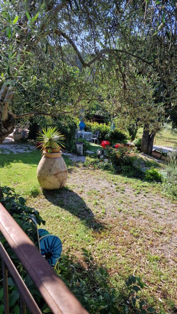 Le MAS DU SUD photo 1