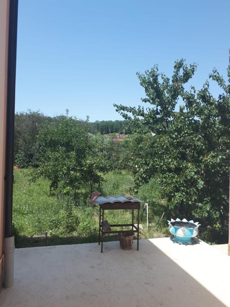 VIP HOUSE photo 1