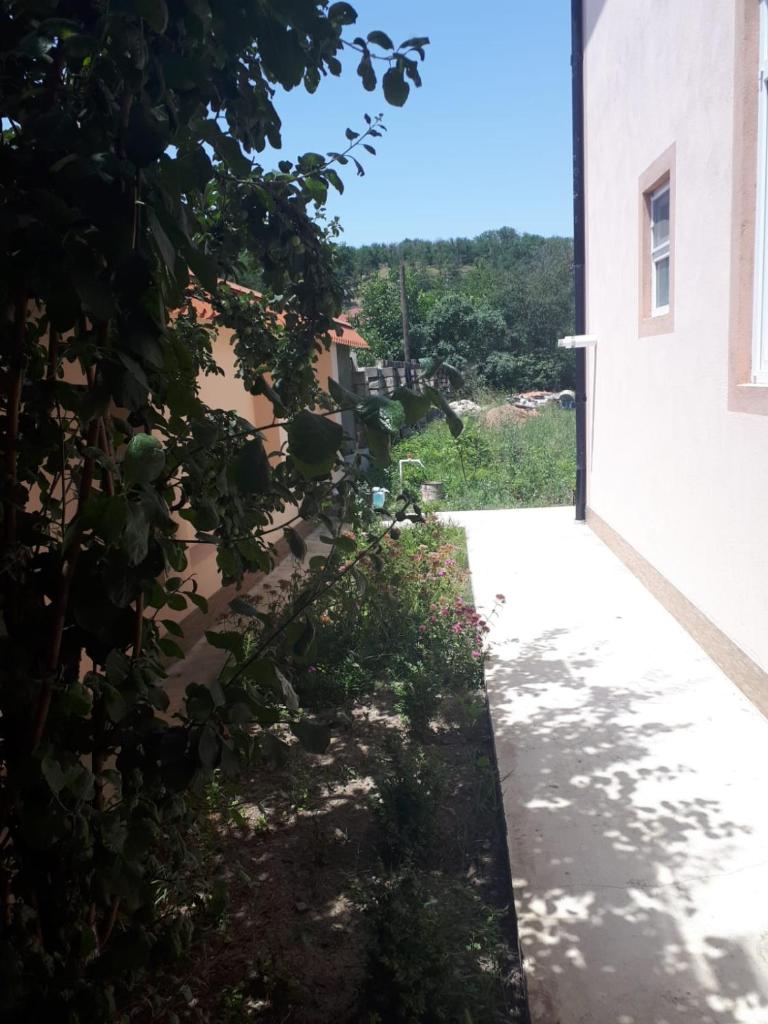 VIP HOUSE photo 4