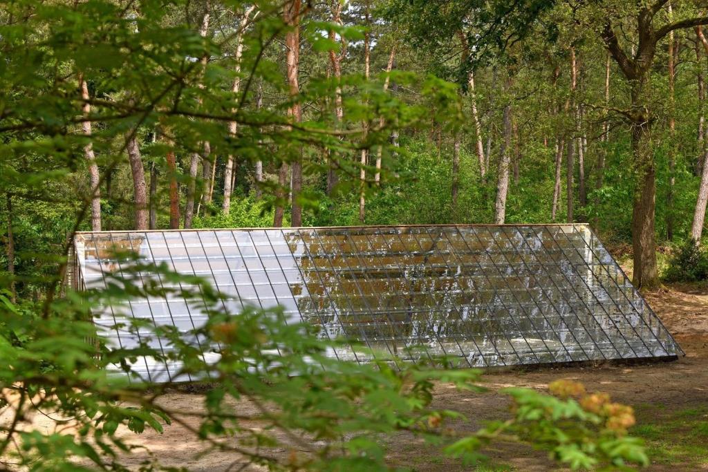 Natuurslaapkamer de zaadeest boskamer photo 2