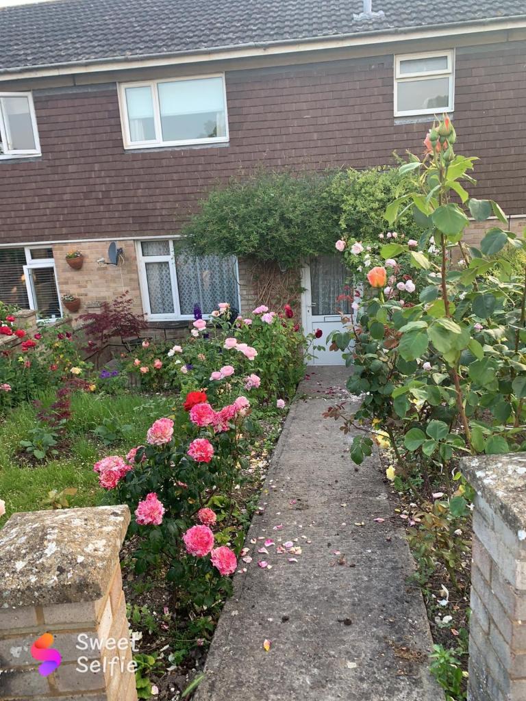 Annie’s House in Amesbury photo 2