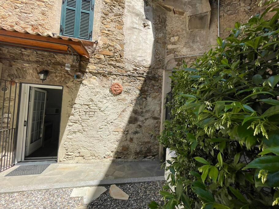 Casa Sole Luna CITRA 008031-LT-1211 photo 2