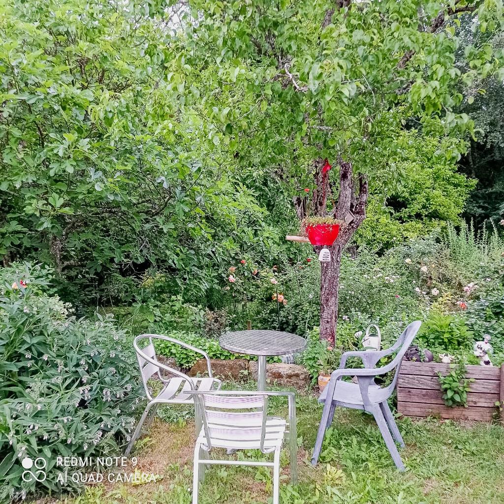 Gîte Au Bord De l'Eau photo 1