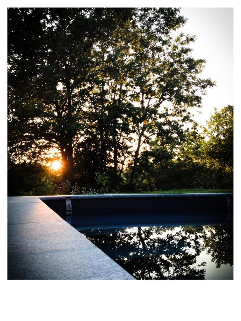 Nonpareil photo 2
