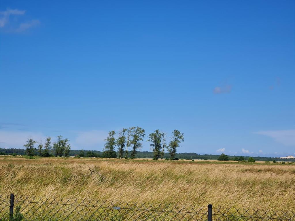 Słowiński Raj - Okno na naturę photo 3