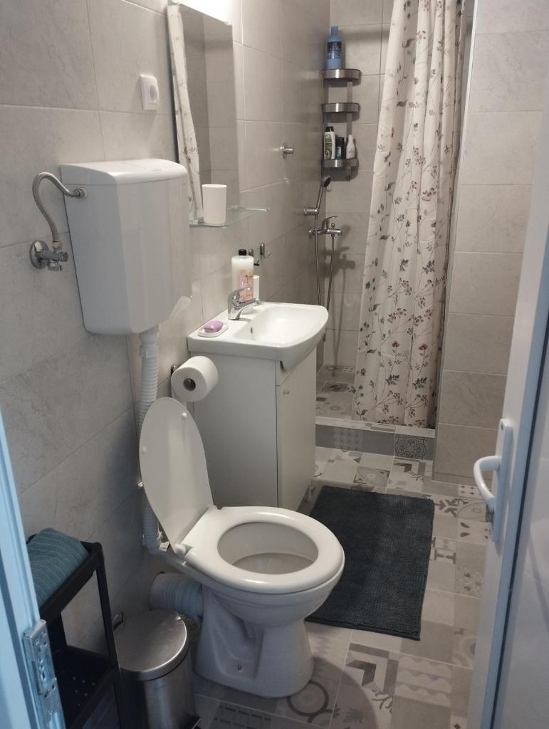 Apartman Aleksandra photo 1