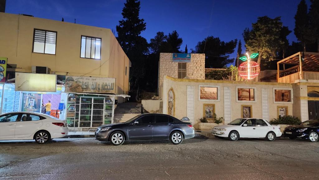 Montreal apartment Shobak near petra