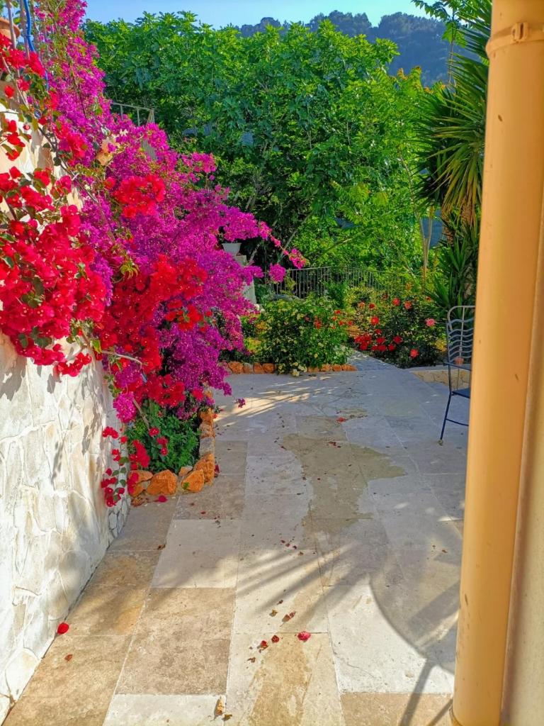 Petit coin de Paradis a cote de Monaco photo 4