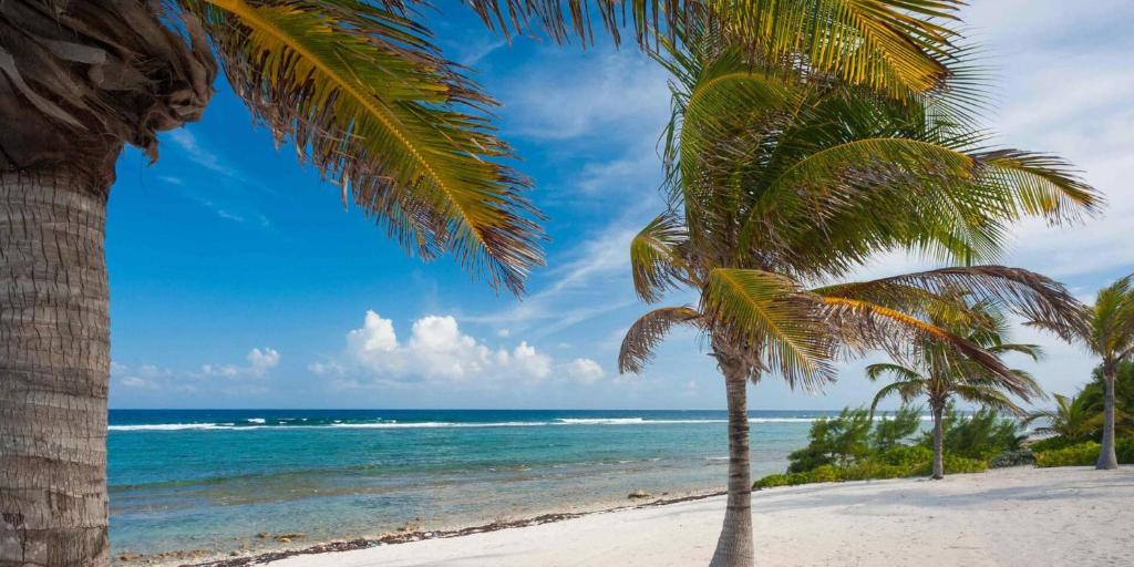 In Harmony by Grand Cayman Villas & Condos photo 3