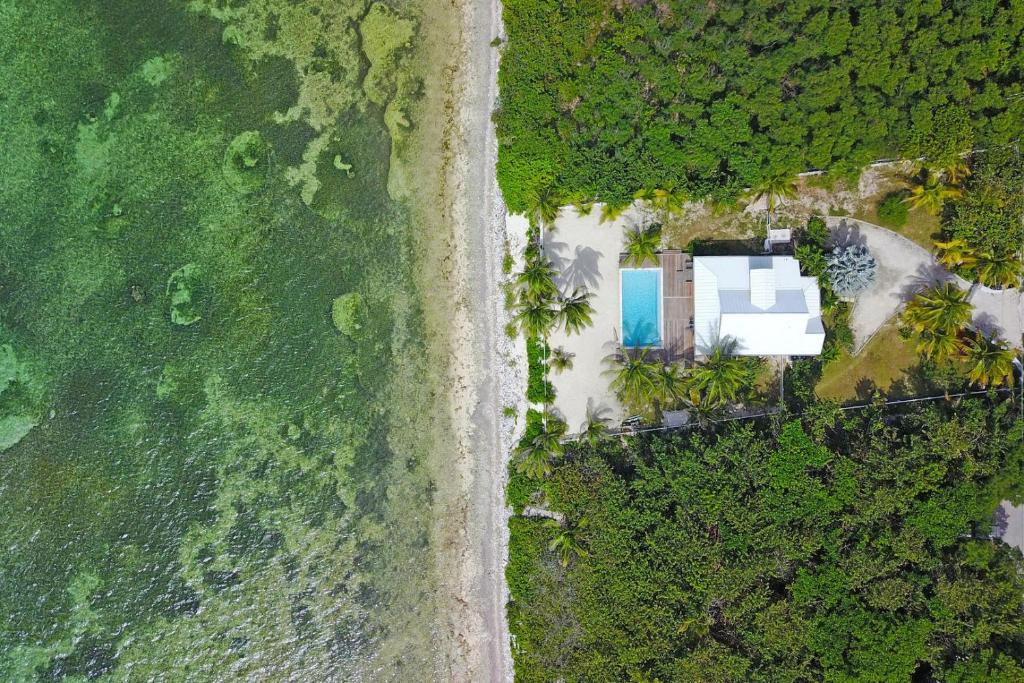 Babylon Reef by Grand Cayman Villas & Condos photo 3
