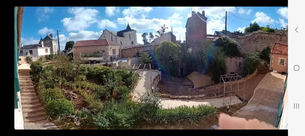 Les dodos de Rose photo 4