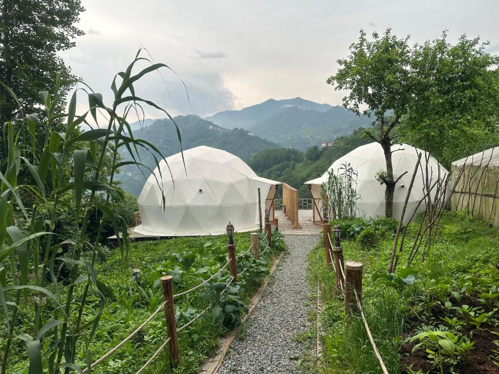LİMKHONA DOME - CHALET