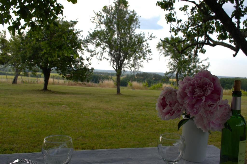 Périgourdine avec spa et vue photo 3