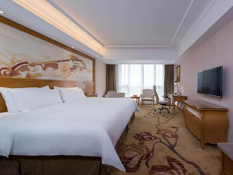 Vienna International Hotel ASEAN Avenue Dongxing photo 4