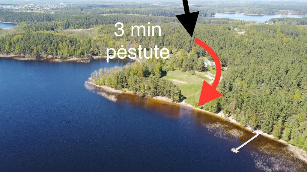 Premium Forest Bungalow with HOT TUB photo 4