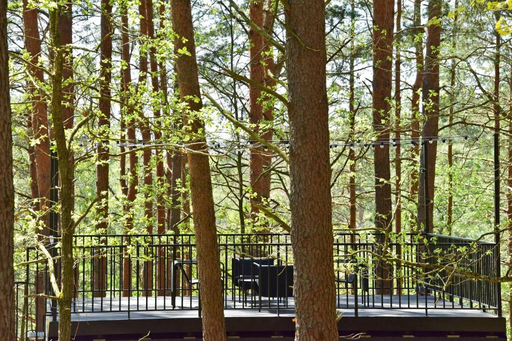 Premium Forest Bungalow with HOT TUB photo 1