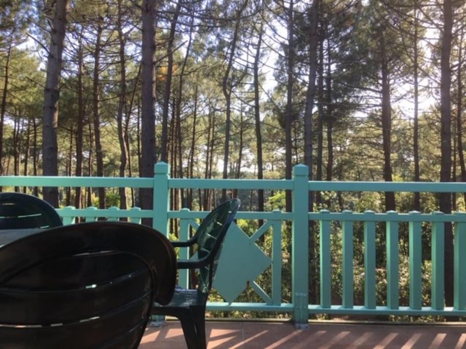 Apt T2 calme sur golf, piscine, ocean 10 min en vélo photo 4