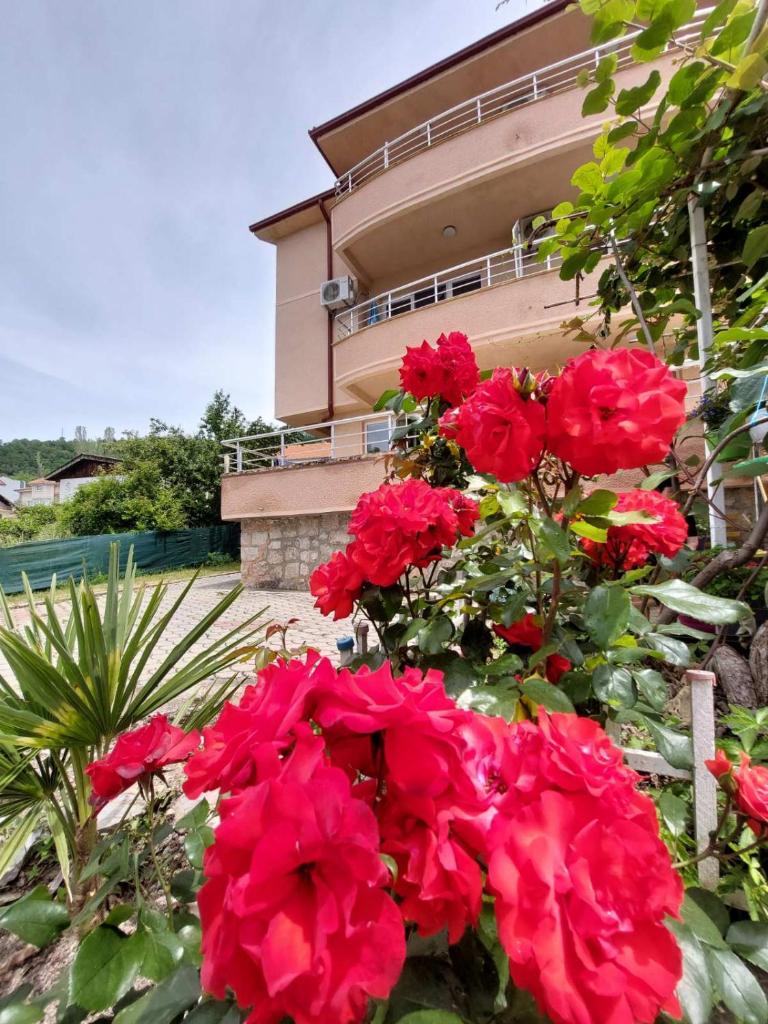 PS Apartments - Peshtani photo 1