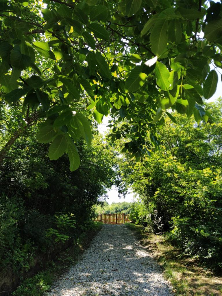 Brvnare Duguljac Fruška Gora photo 3