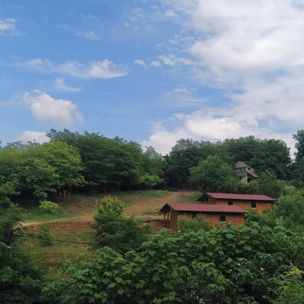 Brvnare Duguljac Fruška Gora photo 1