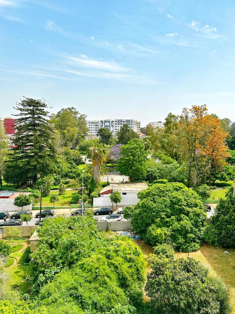 Magnifique appartement en plein centre ville photo 3
