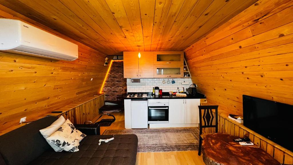TRABZON aparts BUNGALOV photo 4