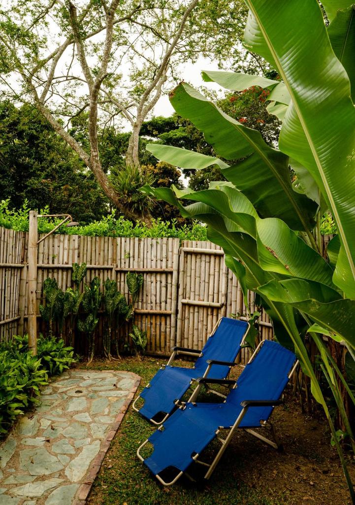 Aguas Claras Bamboo Glamping photo 1