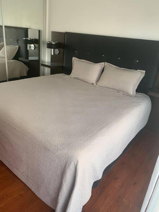 Luxury Apartment V. López photo 1