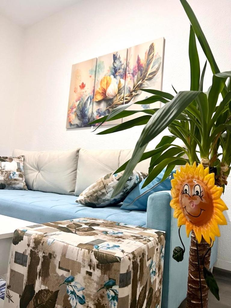 M Apartman photo 2