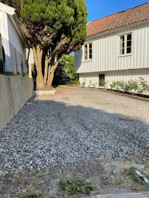 Huset i hagen photo 2