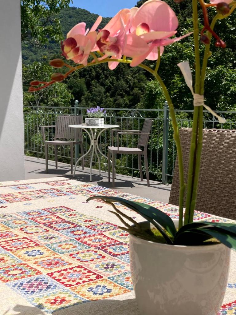 Serenity Living Pelion photo 2