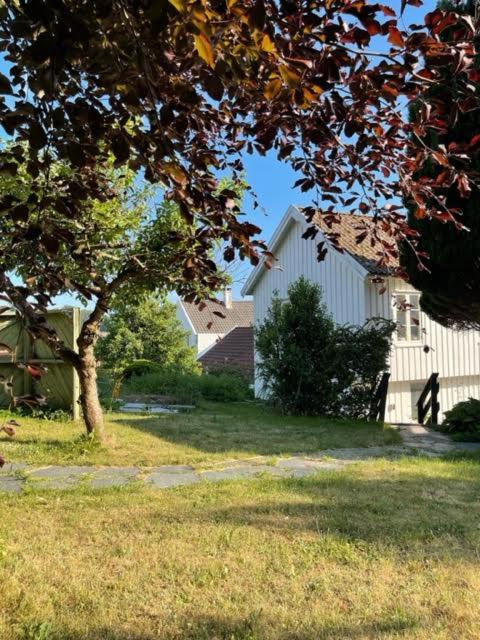 Huset i hagen photo 4