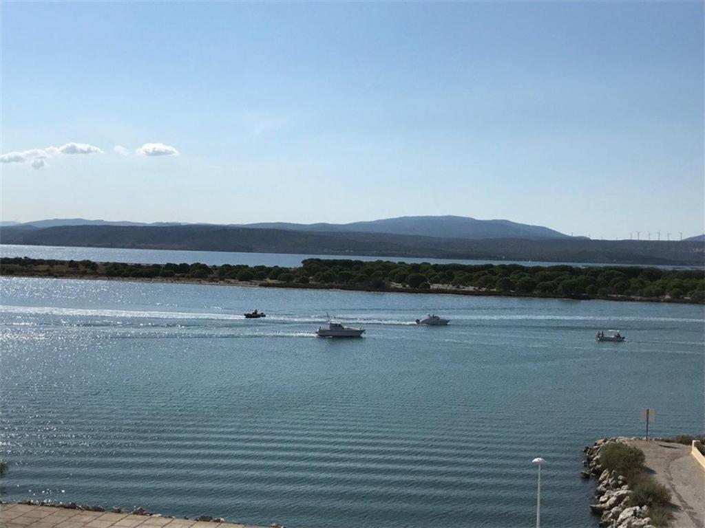 Appartement Port Leucate, 2 pièces, 5 personnes - FR-1-81-135