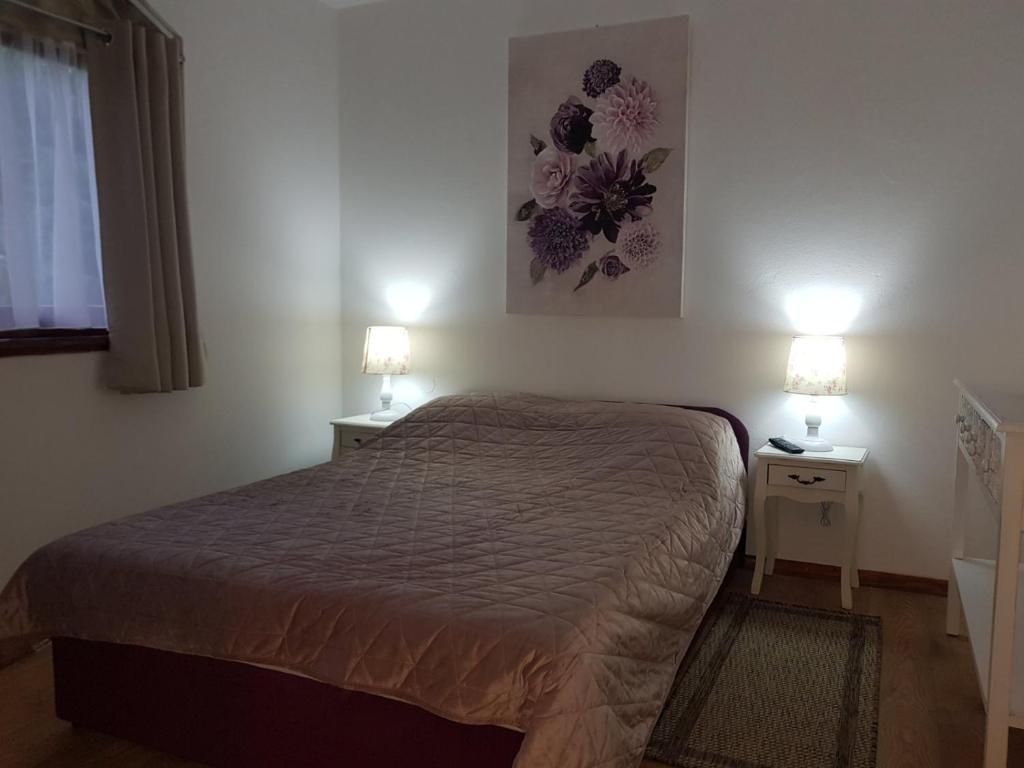 APARTMANI SRCE MREŽNICE photo 2