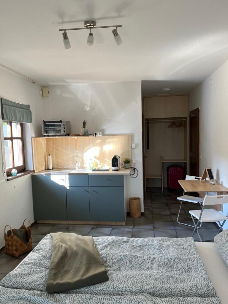 1 Zimmer Whg Waldfischbach photo 3