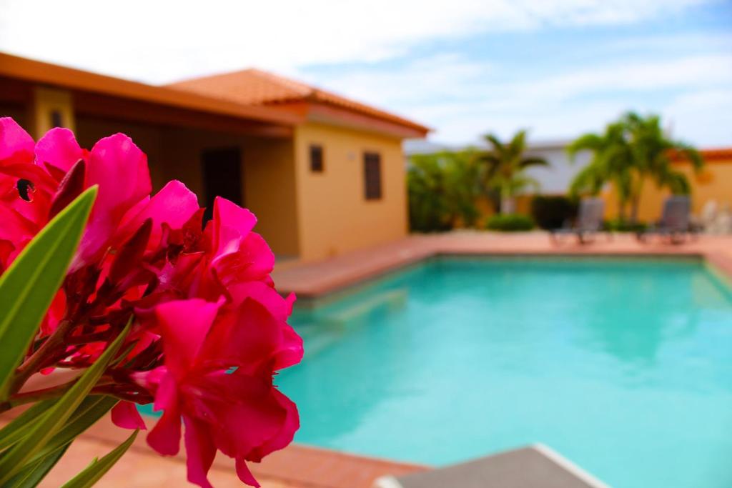 Sunrise Villa photo 2