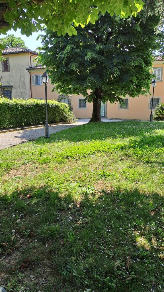 Dépendance in Villa Albachiara e Primaluce photo 1