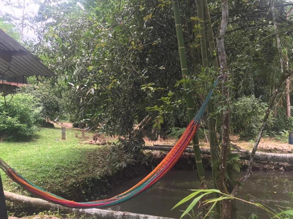 Finca Bambú Del Valle photo 1