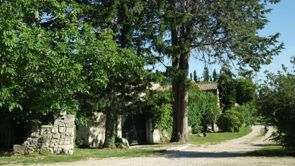 Mas Grimaud - Gîte- Studio et chambres d'hôtes familiales photo 3