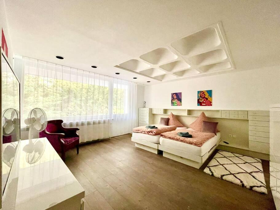 Luxury Villa EMG Braunschweig - Bad Harzburg photo 3